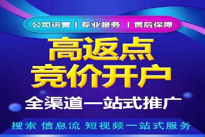 谷歌SEM与移动端优化：某APP的推广策略及效果